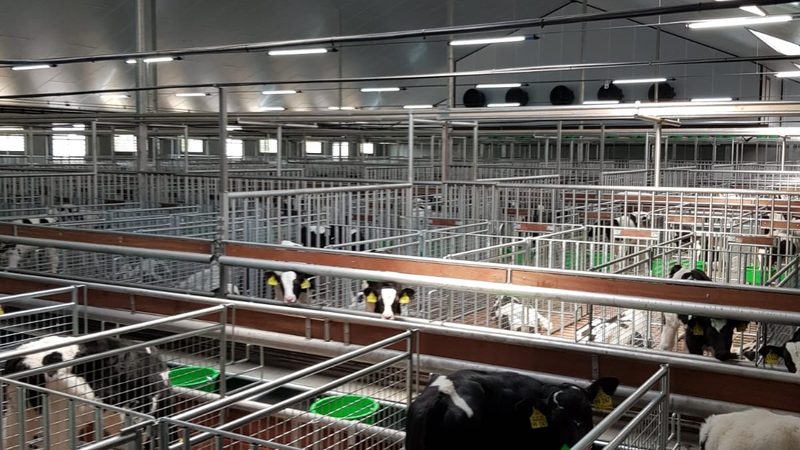 电商代运营方案：揭秘高效提升转化率的五大步骤
